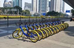 【8分钟科普下】新乡市工厂招聘八小时_哔哩哔哩-3